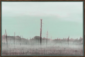 Вид из окна