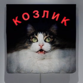 Вечное сияние чистой красоты