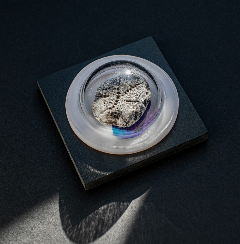 Авторская экскурсия Алены Каляновой