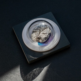 Авторская экскурсия Алены Каляновой