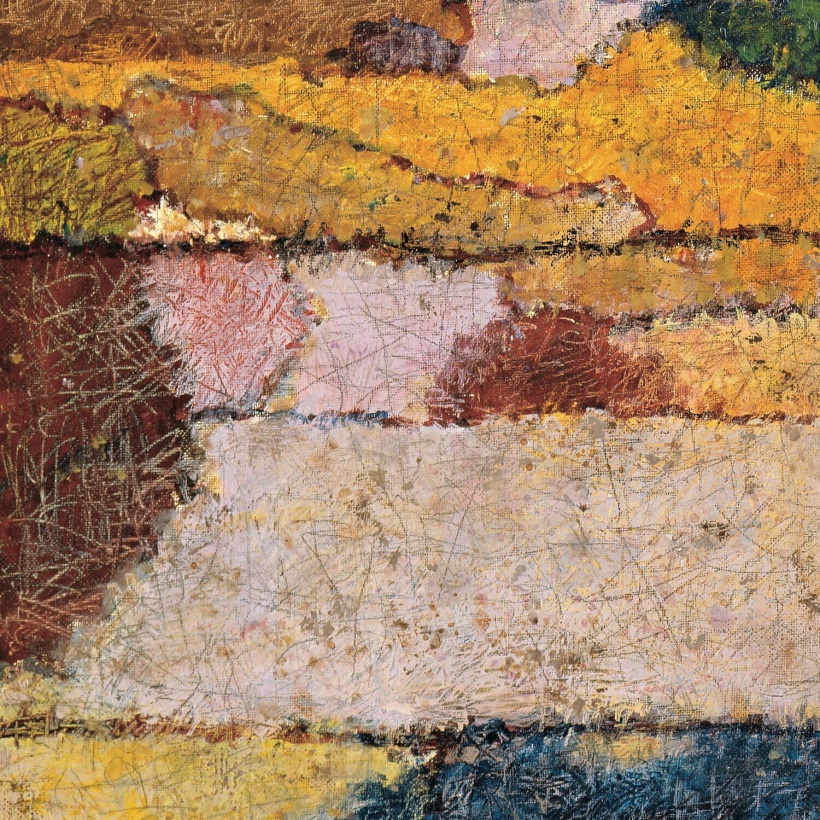 ПОЛЯ-ДВОЙНИКИ