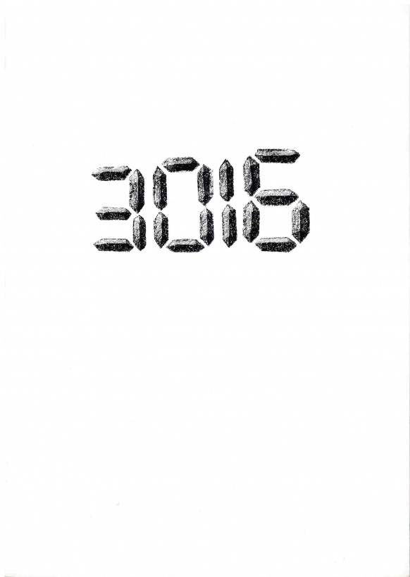 3016