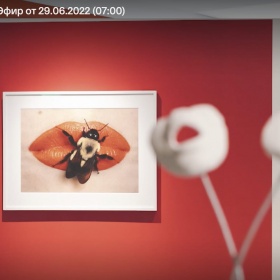 Новости культуры