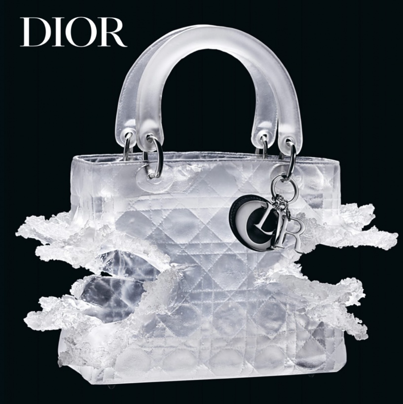 Lady Dior As Seen By