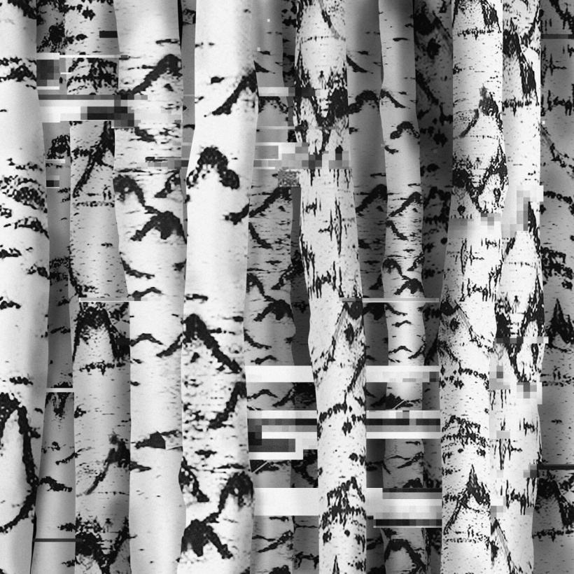 Артист-ток: «Грёзы берёзы» с художницей Катериной Серьёзной