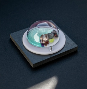 Soil sample No.0054986